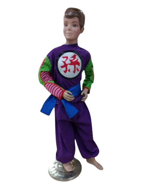 Disfraz de Picoro T12